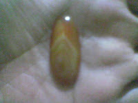 ... junjung drajat, supaya cepat naik pangkat, sukses dalam kariri dan