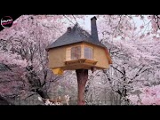 Populer 10 Rumah Pohon Paling Unik Di Dunia, kontroversial!