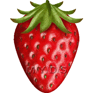 苺 イチゴ のイラスト 条件付フリー素材集