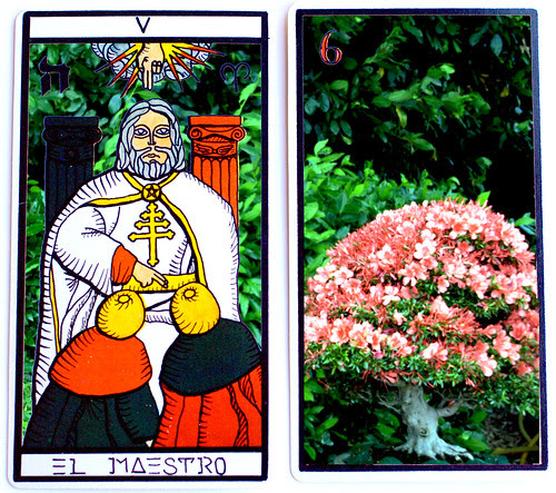 del tarot