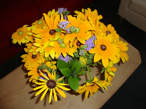 farmer's mkt flowers: green and black eyed susans