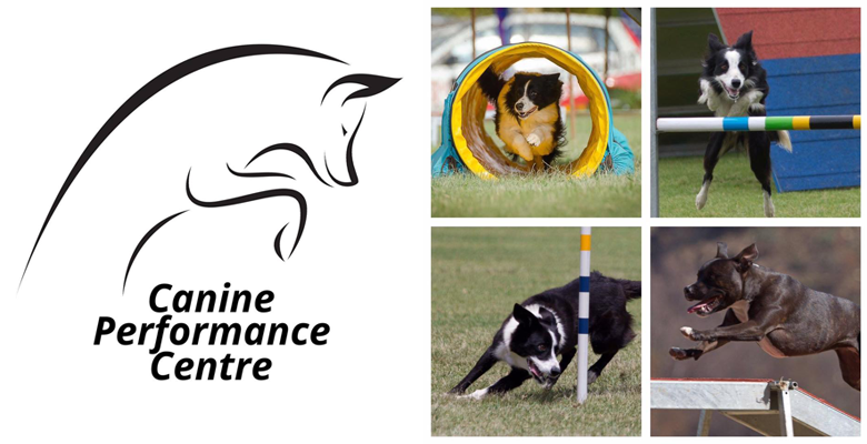 Canine Performance Centre | pethealthcare.co.zaCanine ...