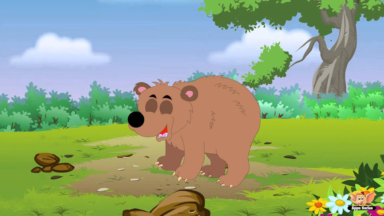 Animal Facts in Hindi - Bear 