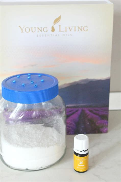 For use on puppies 6 months of . DIY Flea Repellent Recipe | DIYIdeaCenter.com