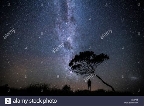 man standing  stars  night stock  man