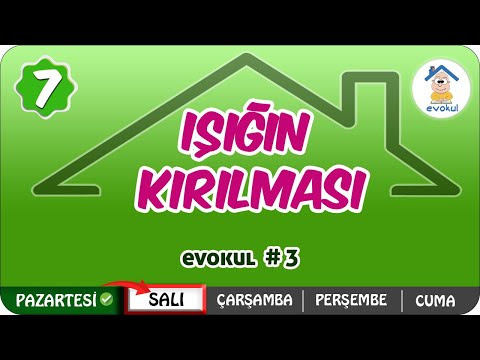 Resim