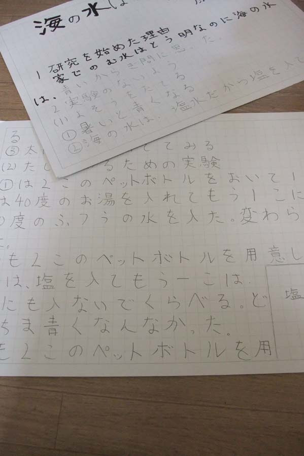 夏休みの自由研究 日々雑感ii