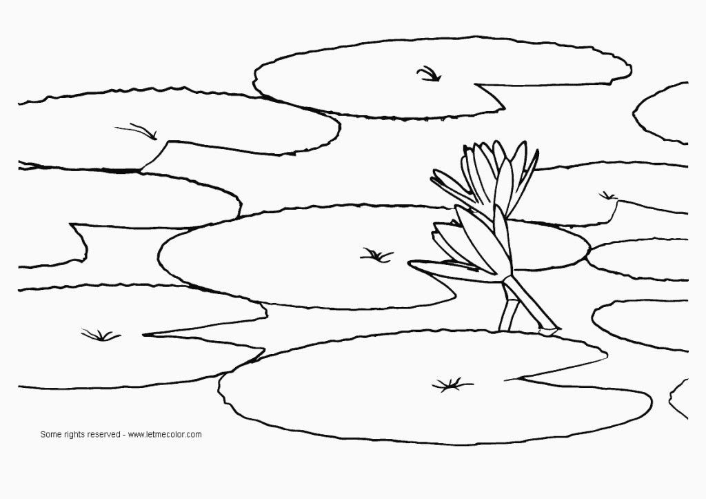 Lily Pad Flower Coloring Pages - Coloring Home