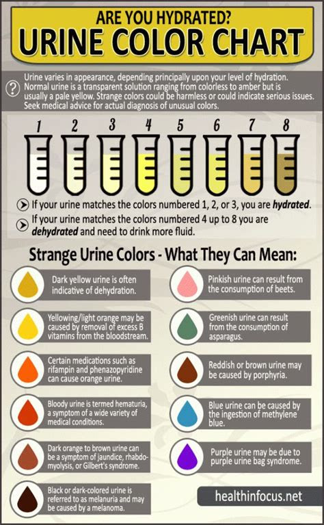  are you hydrated urine color chart fav pins nursing school notes