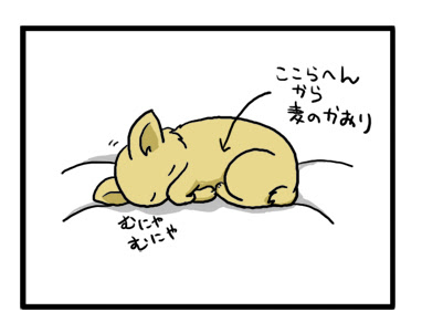 麦の香り ガウリン福と保護犬ちぃ 吠え老犬日記