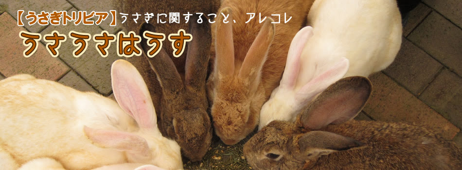 うさぎに会える動物園 うさぎに会える牧場