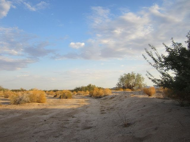 Land of broad shadows