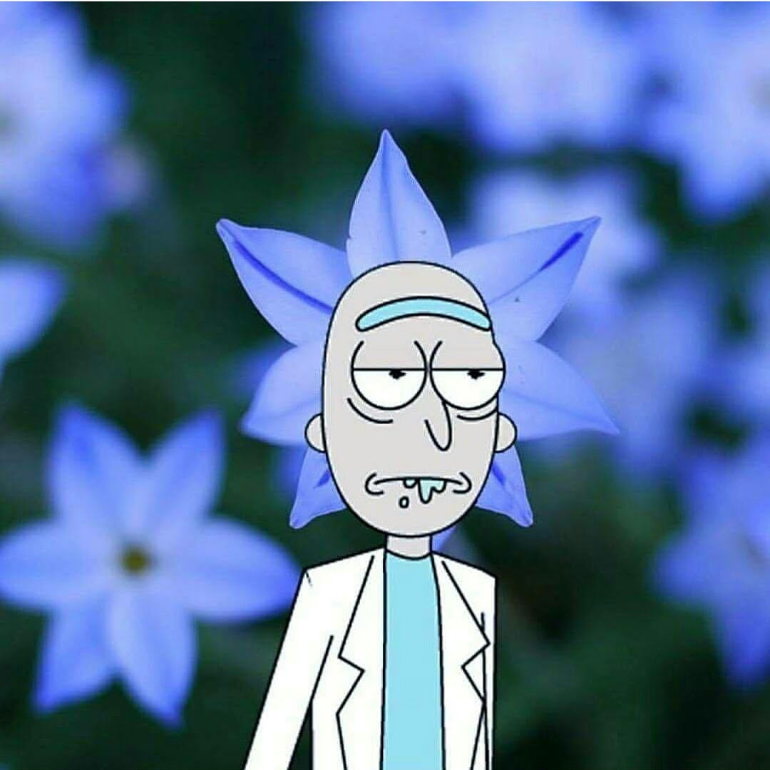 maillotdefootdecathlon: rick and morty aesthetic wallpaper