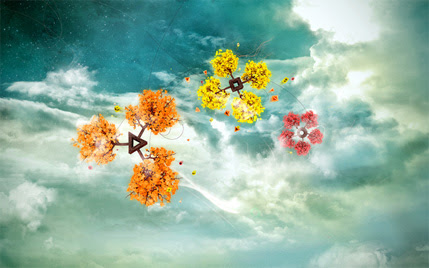 Widescreen Wallpapers