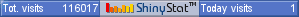 Website counter