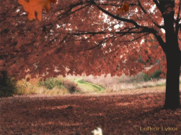 tumblr_mte6urmU9K1ssqam8o1_400