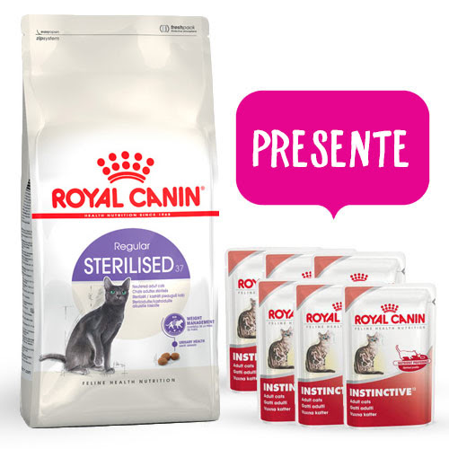 Royal Canin Sterilised 37