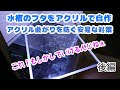 √99以上 30cm キューブ水槽 蓋 105594-30cm キューブ水槽 蓋