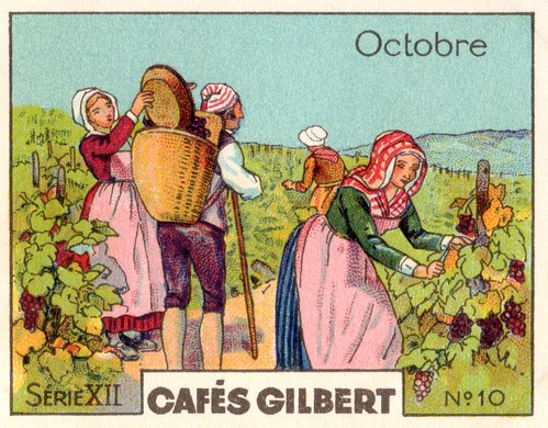 gilbertmois 11