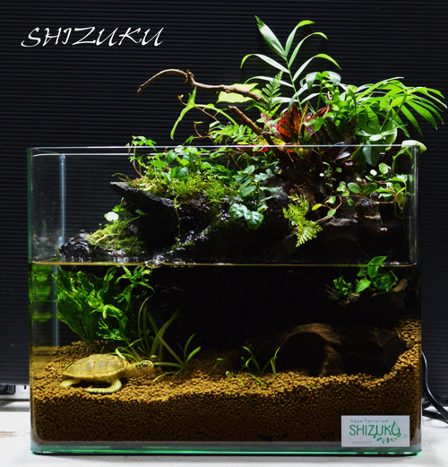 アクアテラリウム Shizuku 緑の雫 いろどり