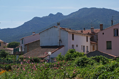 DSC07129