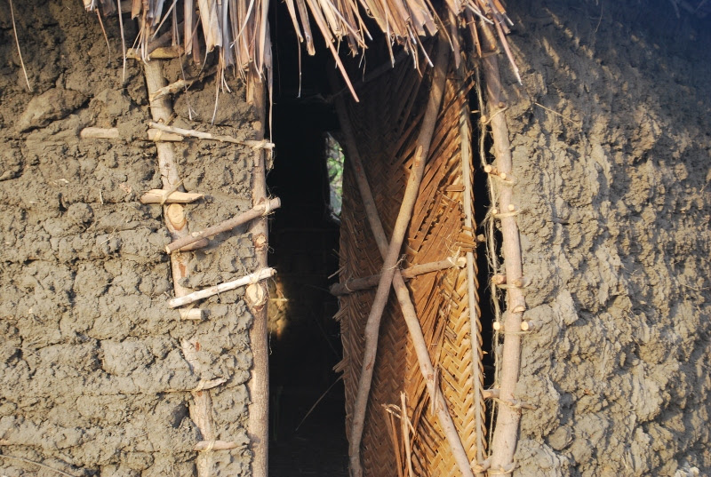 DSC_7232 (800x537) (2)