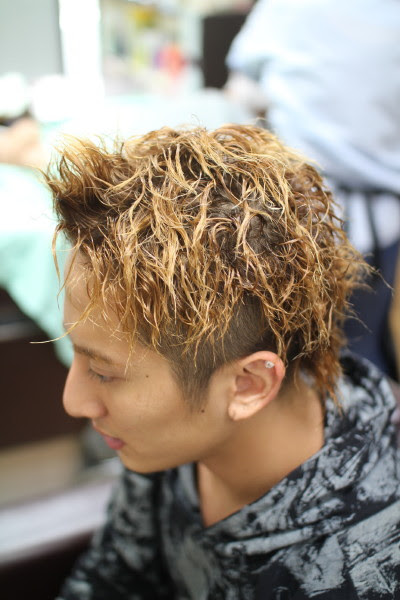 ヘアカラーの繰り返しは髪の細胞のパーマが掛かる部分を無くします 大阪からツイストパーマを熱く語るブログ