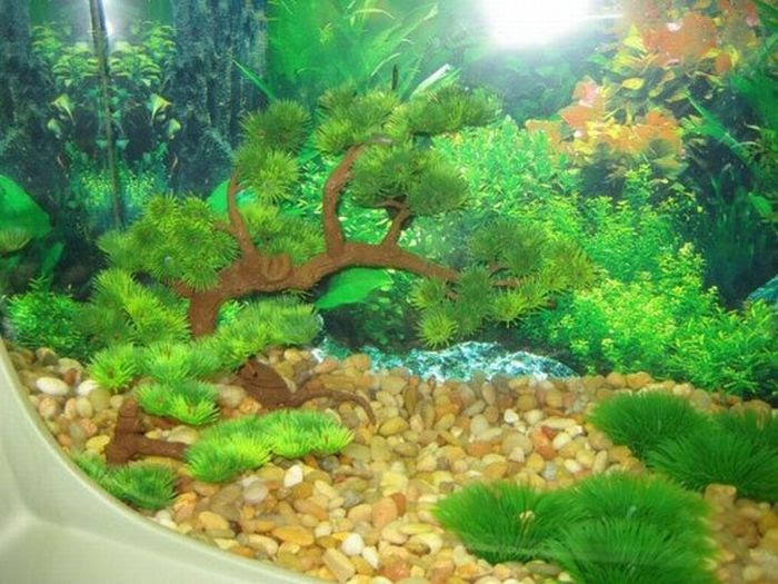 A Fish Tank Made Out of Old TV (18 pics)