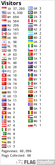 Flag Counter