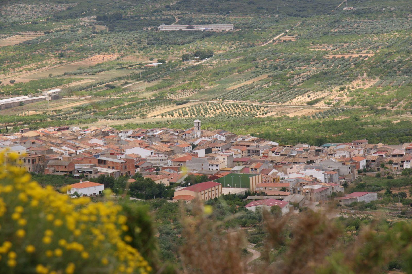 Resultat d'imatge de TÃ­rig