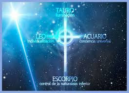 cruz card