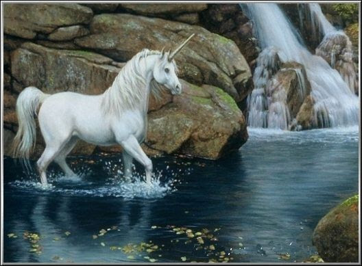 La licorne Mythe ou r allit La licorne Mythe ou r allit
