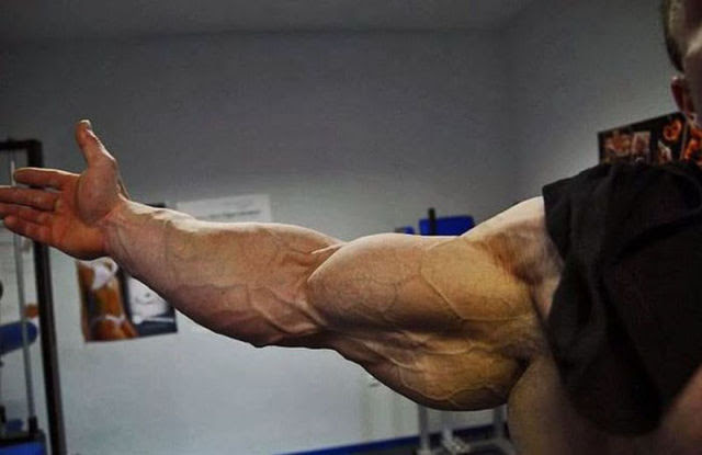 Big Muscle Nerds