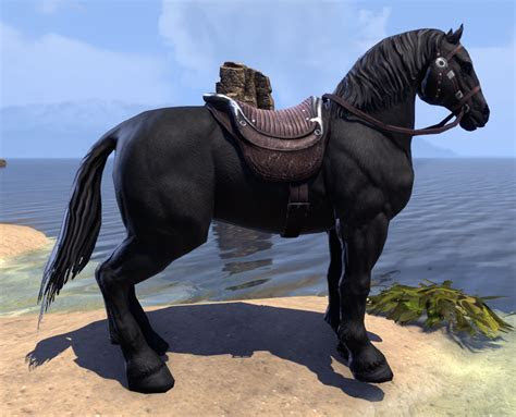 eso fashion midnight steed elder scrolls