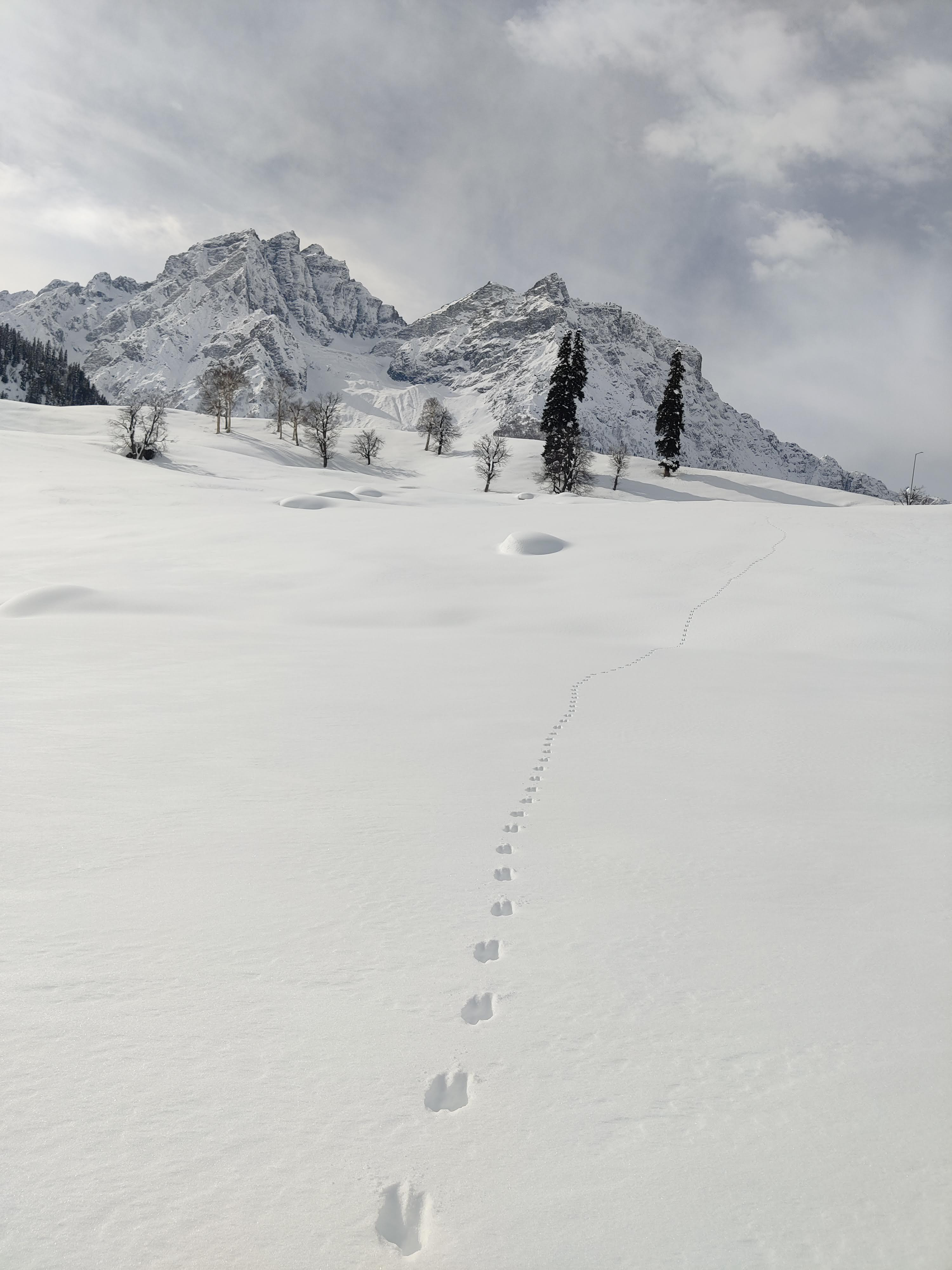 2016 Mercedes-AMG GT S