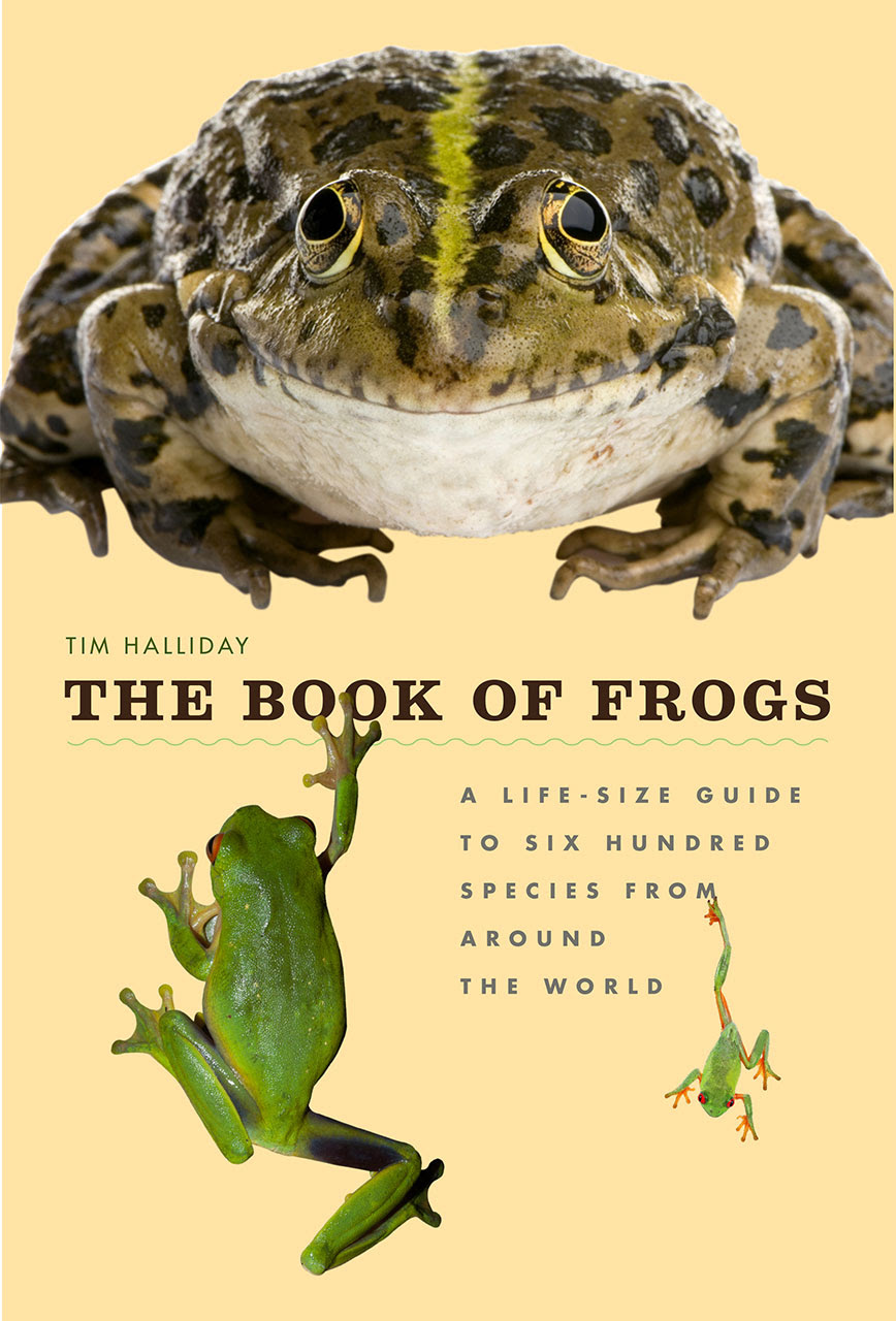 The Book Of Frogs A Life Size Guide To Six Hundred