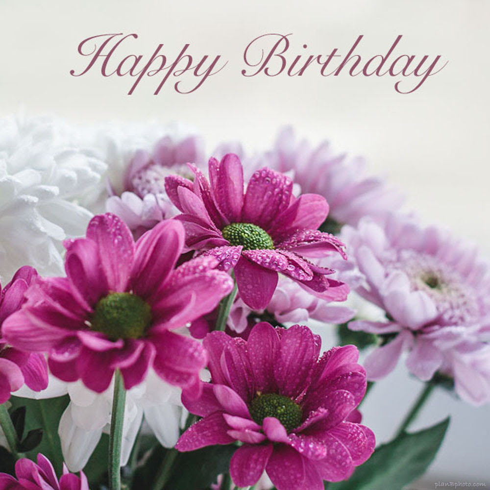 Happy Birthday Flowers with rain drops Happy Birthday Flowers with rain drops