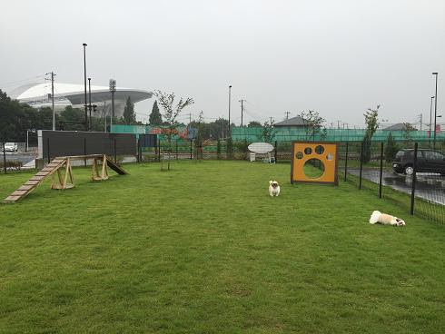 カインズホーム浦和美園 Dogrun174 デリシャスウェイ 3rd