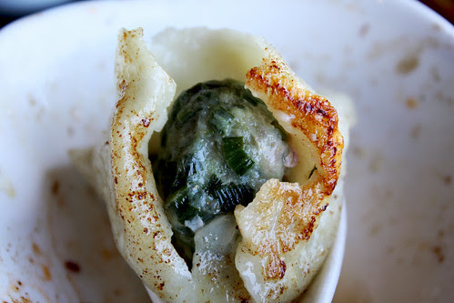 Pan Fried Chive Dumpling