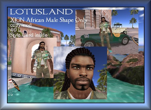 Lotusland XION African Male Shape