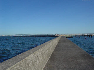 木更津市金田海岸 見立漁港のハゼ釣り 03 09 14