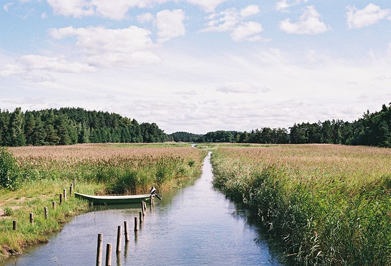 archipelagos, Christopher Rowland, Contax G2, Finland, Forest Sleep, Moss sleeping, Pani Paul, Photography, Row Boat, Rowing, Sam Steinhauer photo Boat_zps2c584baf.jpg