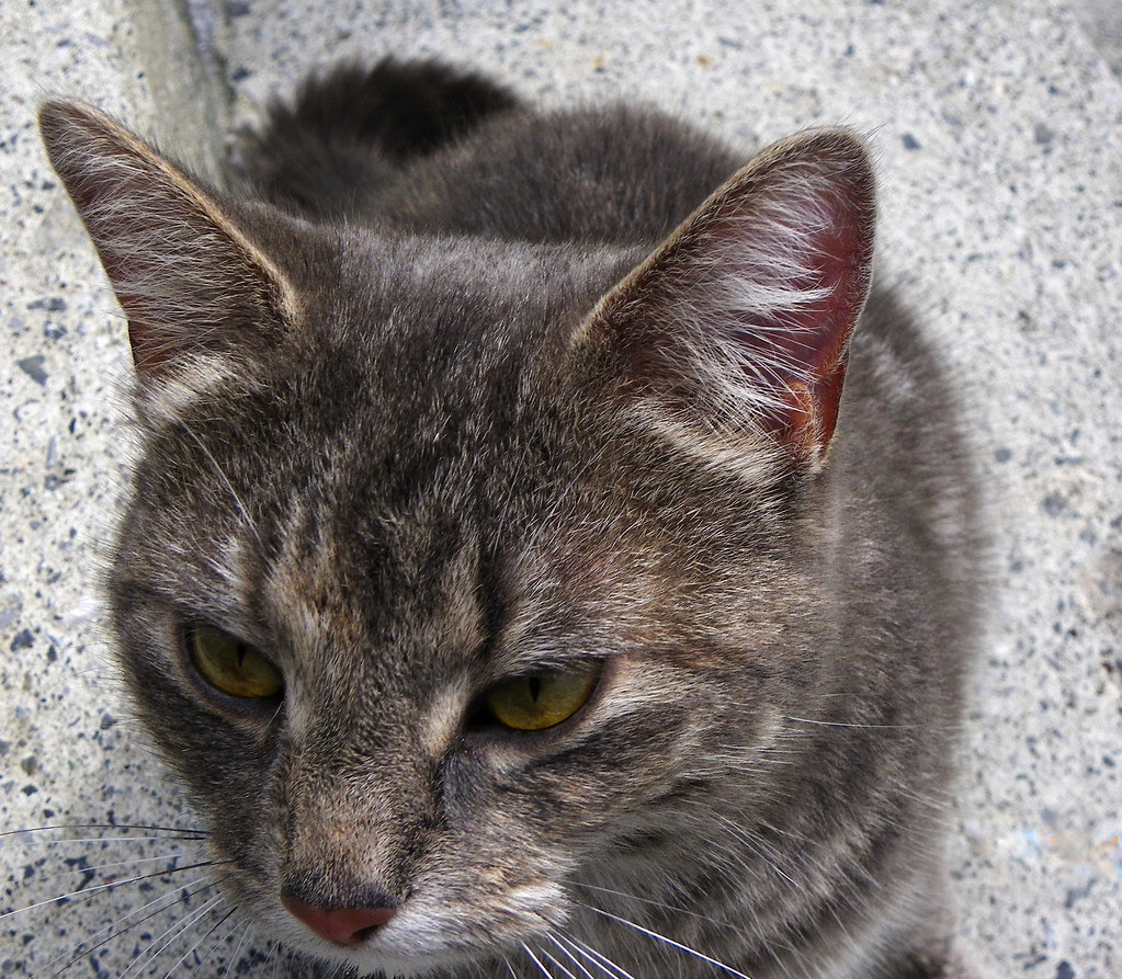 Some People Are As*holes! Part 1