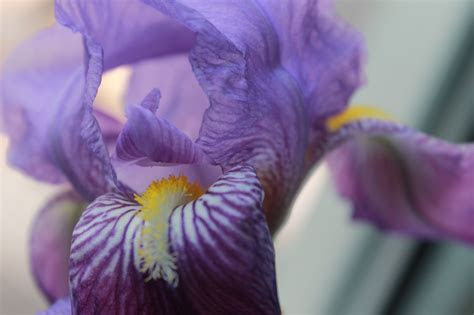 interiors originals novetats al jardiikea vagoe