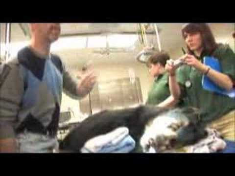 chicago tribune freedom center north chicago illinois. chicago tribune freedom center