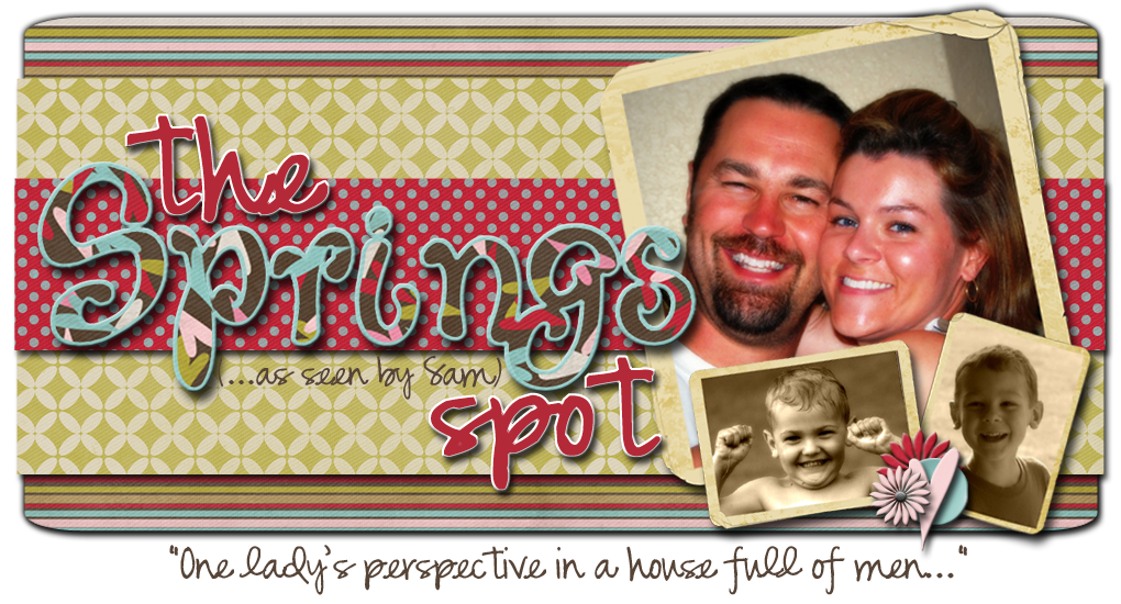 The Springs Spot (As Seen by Sam)