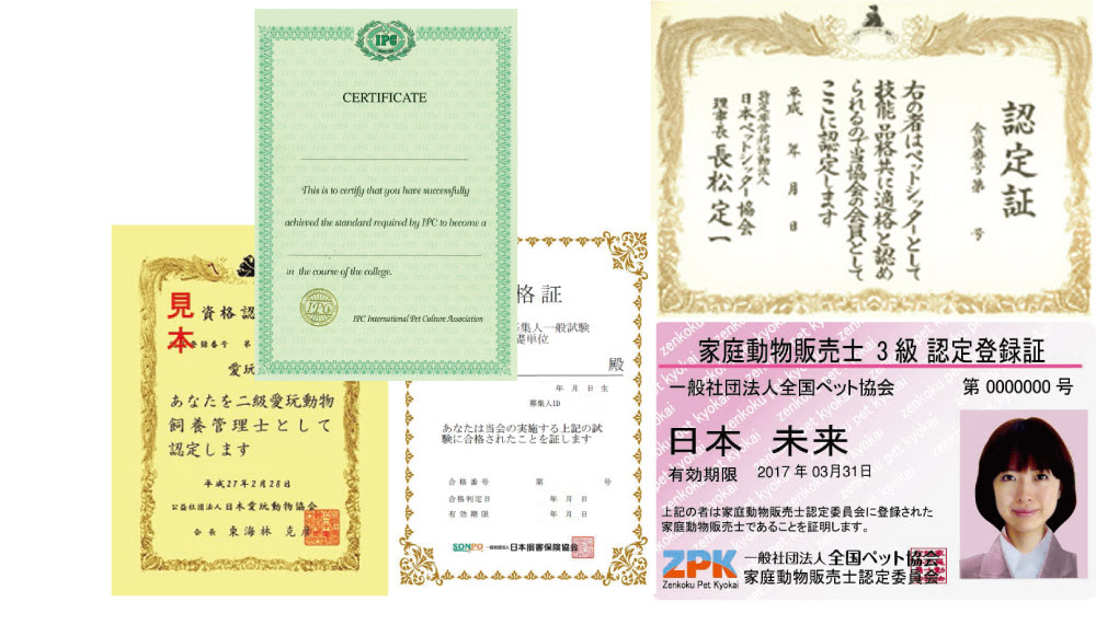 ペットアドバイザー科 総合学科 学校法人ipc学園 愛知ペット専門学校