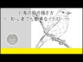 [最も共有された！ √] 白黒 小鳥 イラスト かわいい 310869