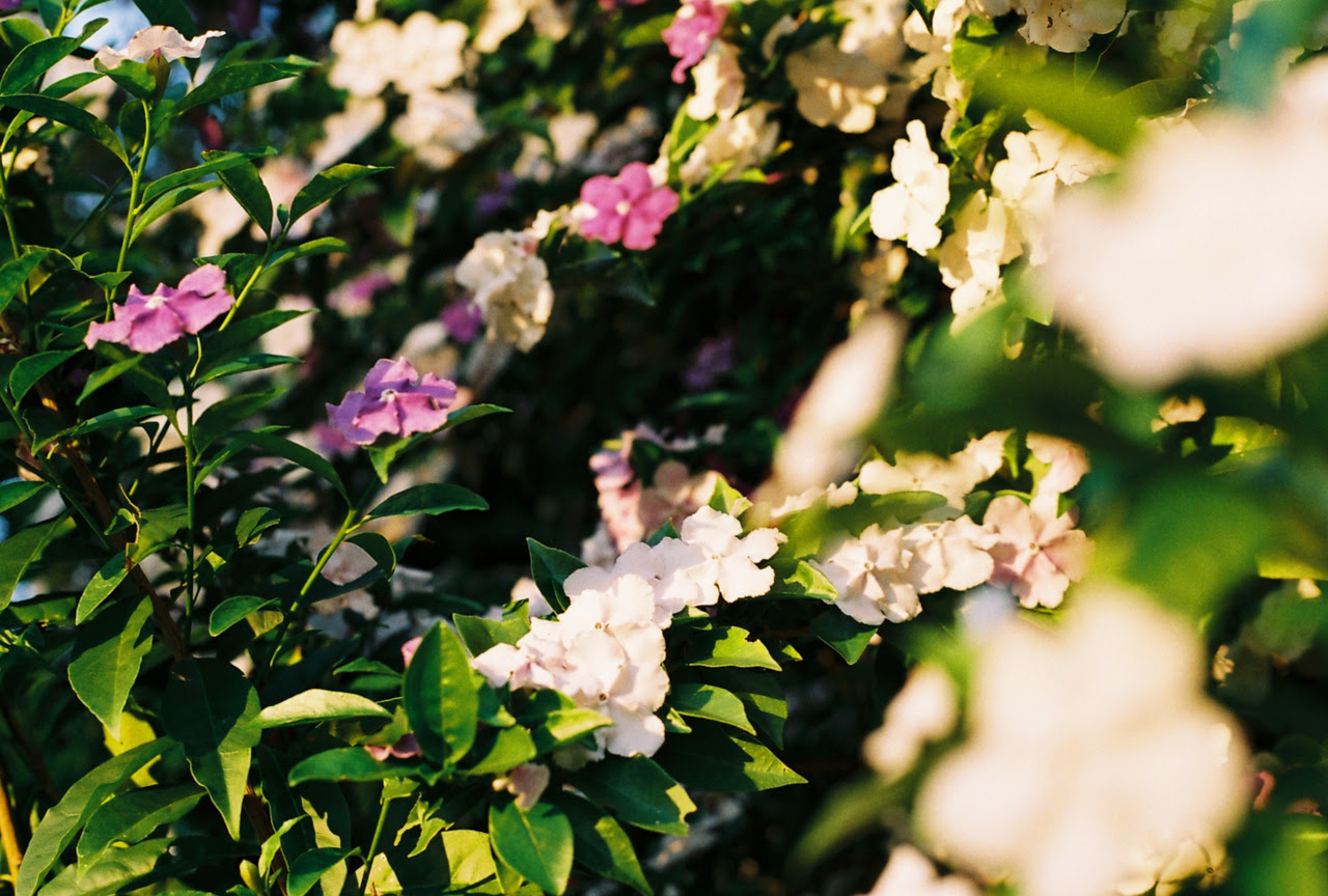 http://25.media.tumblr.com/tumblr_lstor8E7pn1qc2r2fo1_1280.jpg