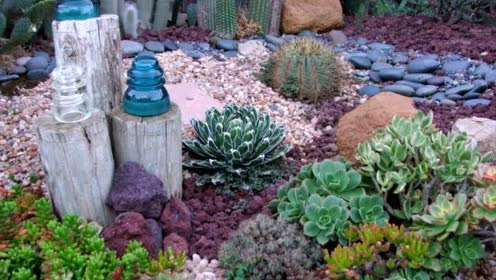 多肉博士带你欣赏老外50种令人着迷的多肉花园设计方案1 腾讯视频